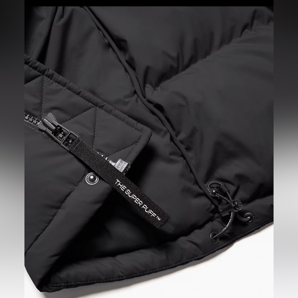 Aritzia Black Puffer Coat - Picture 9 of 16